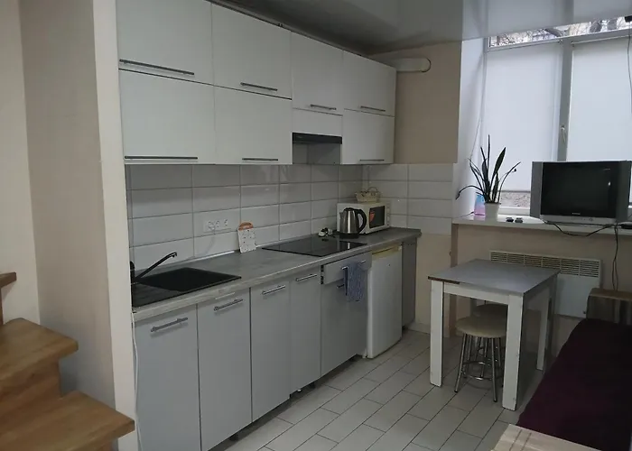 Marka Vovchka Apaartment Apartment *