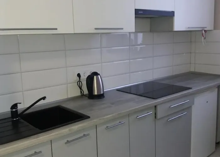 Marka Vovchka Apaartment * Lemberg